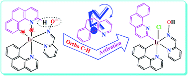 Graphical abstract: Unexpected ortho C–H bond activation in coordinated 7,8-benzoquinoline: synthesis and characterisation of heteroleptic Ir(iii)-7,8-benzoquinoline complexes