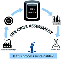 Graphical abstract: Microbial electrosynthesis: is it sustainable for bioproduction of acetic acid?