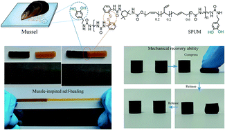Graphical abstract: Bioinspired modified graphene oxide/polyurethane composites with rapid self-healing performance and excellent mechanical properties