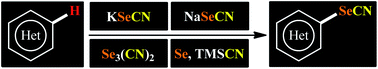Graphical abstract: Progress and recent trends in the direct selenocyanation of (hetero)aromatic C–H bonds