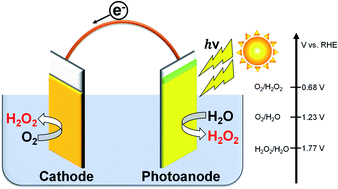 Graphical abstract: H2O2 production on a carbon cathode loaded with a nickel carbonate catalyst and on an oxide photoanode without an external bias