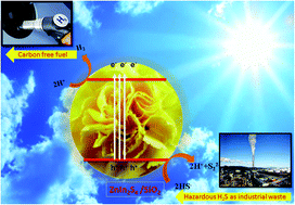 Graphical abstract: Unique hierarchical SiO2@ZnIn2S4 marigold flower like nanoheterostructure for solar hydrogen production