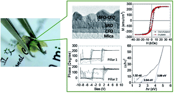 Graphical abstract: Formation and physical properties of the self-assembled BFO–CFO vertically aligned nanocomposite on a CFO-buffered two-dimensional flexible mica substrate