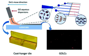 Graphical abstract: Preparation of graphene oxide liquid crystals with long-range highly-ordered flakes using a coat-hanger die