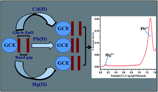 Graphical abstract: Studies on a glutathione coated hollow ZnO modified glassy carbon electrode; a novel Pb(ii) selective electrochemical sensor