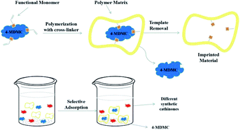 Graphical abstract: Synthesis, characterization, and evaluation of selective molecularly imprinted polymers for the fast determination of synthetic cathinones