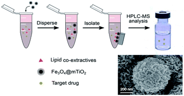 Graphical abstract: Improved liquid–liquid extraction by modified magnetic nanoparticles for the detection of eight drugs in human blood by HPLC-MS