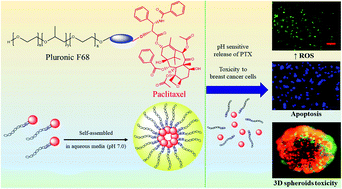 Graphical abstract: Self-assembled and pH-responsive polymeric nanomicelles impart effective delivery of paclitaxel to cancer cells