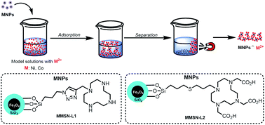 Graphical abstract: Synthesis of triethoxysilylated cyclen derivatives, grafting on magnetic mesoporous silica nanoparticles and application to metal ion adsorption