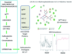 Graphical abstract: Identification of (2R,3R)-2-(3,4-dihydroxyphenyl)chroman-3-yl-3,4,5-trihydroxy benzoate as multiple inhibitors of SARS-CoV-2 targets; a systematic molecular modelling approach