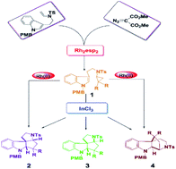 Graphical abstract: Elucidating the mechanism and origins of selectivity on catalyst-dependent cyclization reactions to form polycyclic indolines from a theoretical study
