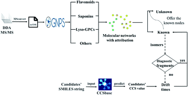 Graphical abstract: An integrated approach for structural characterization of Gui Ling Ji by traveling wave ion mobility mass spectrometry and molecular network