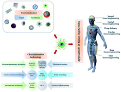 Graphical abstract: Applications of nanomaterials in tissue engineering