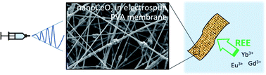 Graphical abstract: Recovery of rare earth elements by nanometric CeO2 embedded into electrospun PVA nanofibres
