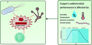 Graphical abstract: Copper as an antimicrobial agent: recent advances
