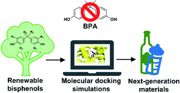 Graphical abstract: Estrogenic activity of lignin-derivable alternatives to bisphenol A assessed via molecular docking simulations