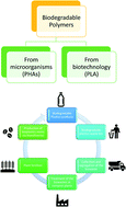 Graphical abstract: Poly(lactic acid) (PLA) and polyhydroxyalkanoates (PHAs), green alternatives to petroleum-based plastics: a review
