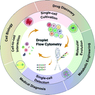 Graphical abstract: Droplet flow cytometry for single-cell analysis