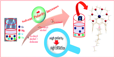 Graphical abstract: Achieving highly efficient and selective cesium extraction using 1,3-di-octyloxycalix[4]arene-crown-6 in n-octanol based solvent system: experimental and DFT investigation