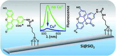 Graphical abstract: Silicon-based fluorescent platforms for copper(ii) detection in water