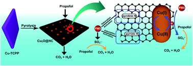 Graphical abstract: Cu2O nanoparticles anchored on carbon for the efficient removal of propofol from operating room wastewater via peroxymonosulfate activation: efficiency, mechanism, and pathway
