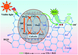 Graphical abstract: Solvothermal synthesis of octahedral and magnetic CoFe2O4–reduced graphene oxide hybrids and their photo-Fenton-like behavior under visible-light irradiation
