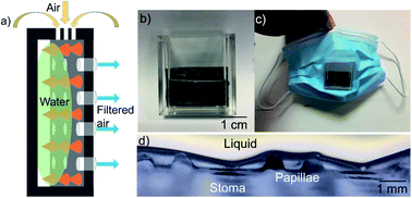 Graphical abstract: A stomata-inspired superhydrophobic portable filter system