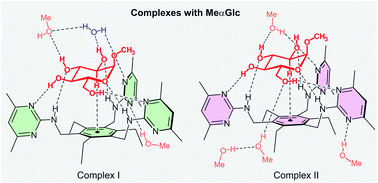 Graphical abstract: Binding modes of methyl α-d-glucopyranoside to an artificial receptor in crystalline complexes