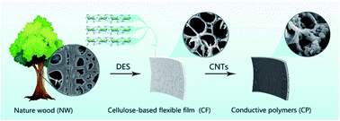 Graphical abstract: A conductive polymer composed of a cellulose-based flexible film and carbon nanotubes