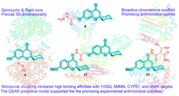 Graphical abstract: Rigid 3D-spiro chromanone as a crux for efficient antimicrobial agents: synthesis, biological and computational evaluation