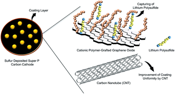 Graphical abstract: Cationic polymer-grafted graphene oxide/CNT cathode-coating material for lithium–sulfur batteries