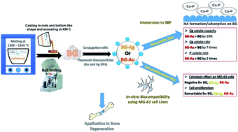 Graphical abstract: Bioactive glass doped with noble metal nanoparticles for bone regeneration: in vitro kinetics and proliferative impact on human bone cell line