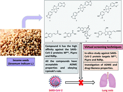 Graphical abstract: In silico study of natural compounds from sesame against COVID-19 by targeting Mpro, PLpro and RdRp