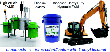 Graphical abstract: Conversion of fatty acid methyl esters into dibasic esters by metathesis and their lubricant properties