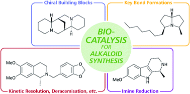 Graphical abstract: The role of biocatalysis in the asymmetric synthesis of alkaloids – an update