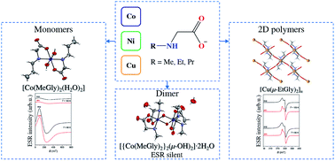 Graphical abstract: Structural diversity in the coordination compounds of cobalt, nickel and copper with N-alkylglycinates: crystallographic and ESR study in the solid state