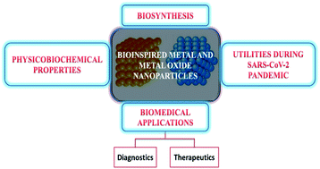 Graphical abstract: Potentialities of bioinspired metal and metal oxide nanoparticles in biomedical sciences