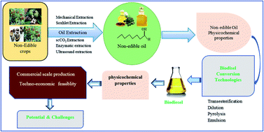 Graphical abstract: A review on non-edible oil as a potential feedstock for biodiesel: physicochemical properties and production technologies
