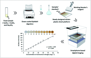 Graphical abstract: A newly designed sticker-plastic sheet platform and smartphone-based digital imaging for protein assay in food samples with downscaling Kjeldahl digestion