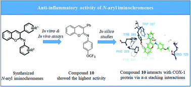Graphical abstract: N-Aryl iminochromenes inhibit cyclooxygenase enzymes via π–π stacking interactions and present a novel class of anti-inflammatory drugs