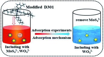 Graphical abstract: Highly efficient sorption of molybdenum from tungstate solution with modified D301 resin
