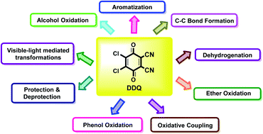 Graphical abstract: DDQ as a versatile and easily recyclable oxidant: a systematic review