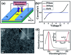 Graphical abstract: Self-catalyst β-Ga2O3 semiconductor lateral nanowire networks synthesis on the insulating substrate for deep ultraviolet photodetectors