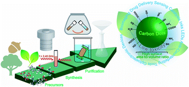 Graphical abstract: Green synthesis of carbon dots and their applications