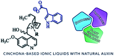 Graphical abstract: Naturally based ionic liquids with indole-3-acetate anions and cations derived from cinchona alkaloids
