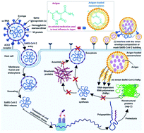 Graphical abstract: Nanomaterial-based drug delivery systems as promising carriers for patients with COVID-19