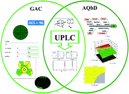 Graphical abstract: Eco-friendly estimation of isosorbide dinitrate and hydralazine hydrochloride using Green Analytical Quality by Design-based UPLC Method