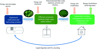 Graphical abstract: Anaerobic digestion and agronomic applications of microalgae for its sustainable valorization