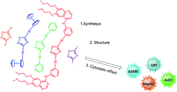 Graphical abstract: Synthesis, structure and in vitro antiproliferative effects of alkyne-linked 1,2,4-thiadiazole hybrids including erlotinib- and ferrocene-containing derivatives