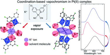 Graphical abstract: Coordination-based vapochromic behavior of a luminescent Pt(ii) complex with potassium ions